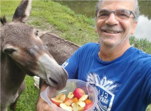 Tony feeding donkeys