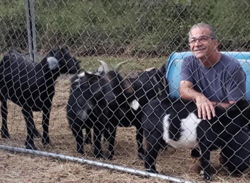 Tony with the goats