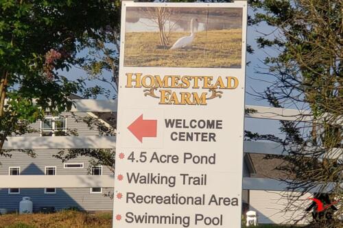 home for sale four oaks-18