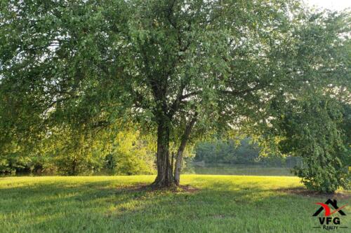 home for sale four oaks-22