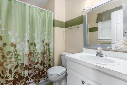 n-spring-flower-drive-12